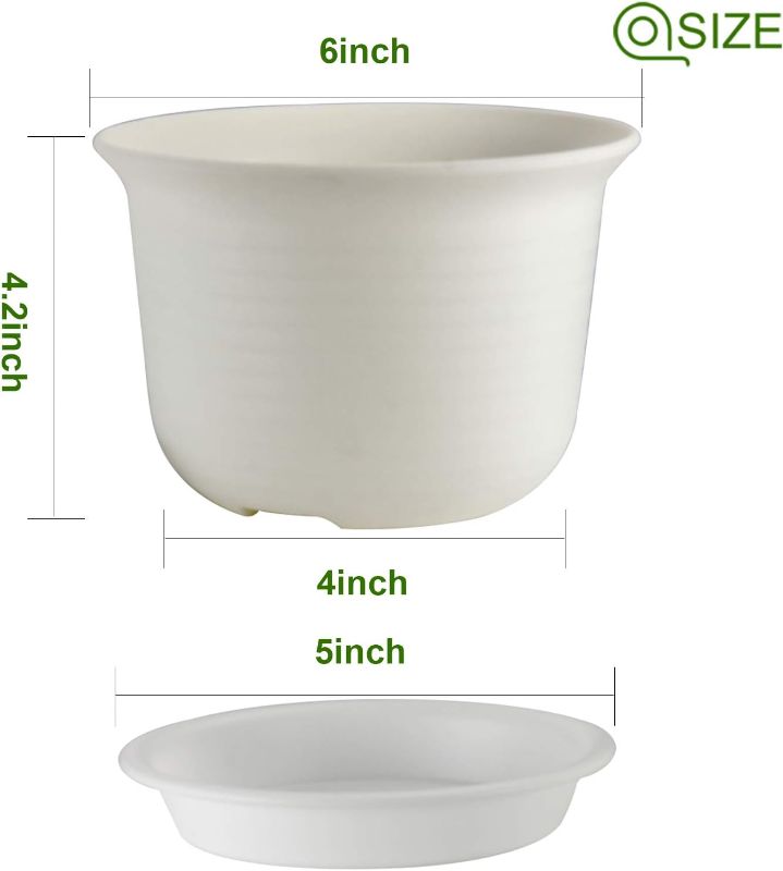 Photo 4 of 3 Pack Planters, 6 inch Plastic Plant Pots Indoor with Drainage Hole and Tray, Plants Not Included, White White 6 inch