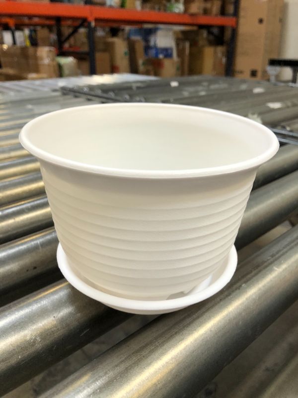 Photo 3 of 3 Pack Planters, 6 inch Plastic Plant Pots Indoor with Drainage Hole and Tray, Plants Not Included, White White 6 inch