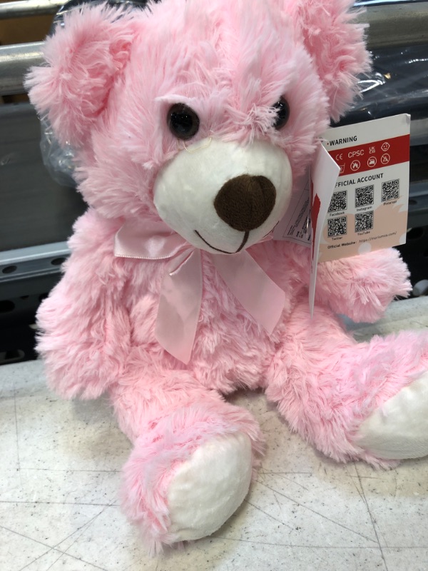 Photo 2 of  Stuffed Teddy Bear (Pink)
