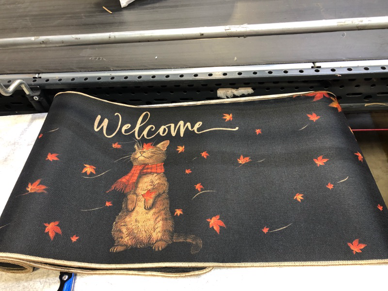 Photo 1 of 2 PC FALL CAT FLOOR MATS ( SIZES: 17X27 IN AND 17 X 47 IN) 