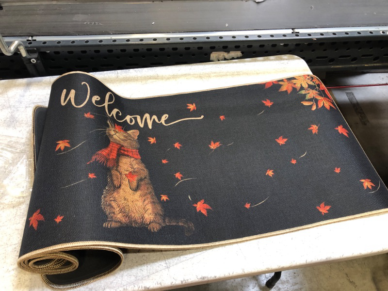 Photo 1 of 2 PC FALL WELCOME CAT MAT  ( SIZES: 17X27 IN AND 17X47 IN ) 