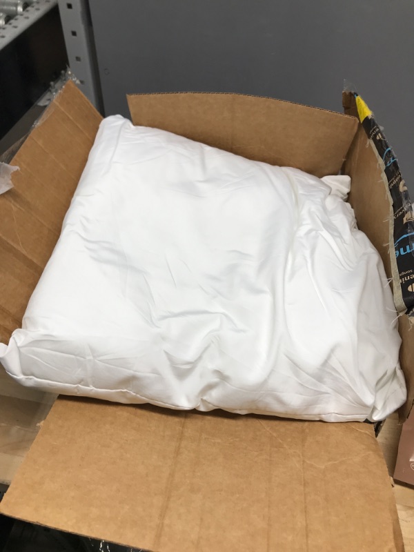 Photo 1 of 2 pack of couch pillow inserts