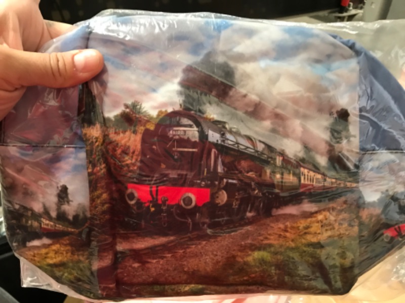 Photo 1 of 2-Cubirmin Steam Train Lunch Bag for Women Men Girls Boys Lunch Tote Bag Organizer Reusable Cooler Lunch Box for Adult Outdoor Work,School and Picnic Insulated Lunch Bag with Pocket Steam Train One Size