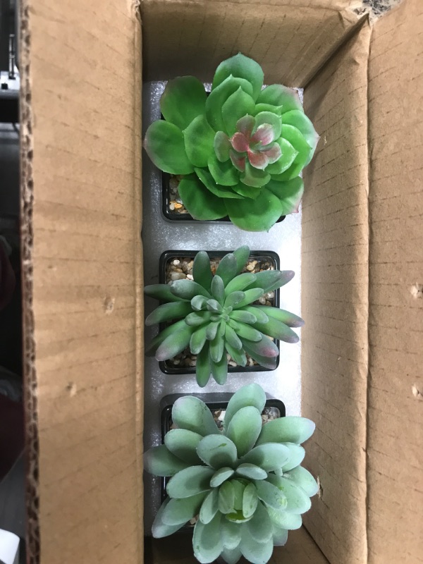 Photo 1 of 3 PACK OF ARTIFICIAL SUCCULENTS 