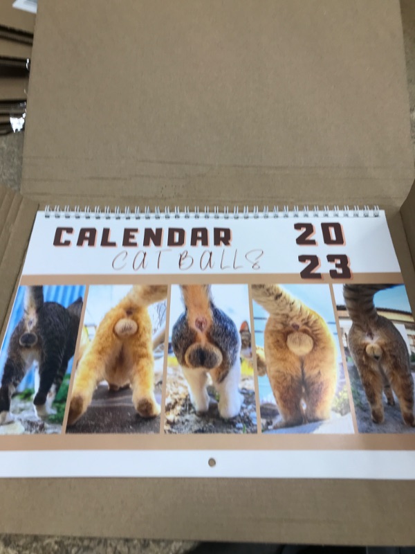 Photo 2 of 6 ITEMS, Cat Butthole Calendar 2023 – 17 x 11 Inches Funny BUNDLE