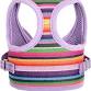 Photo 2 of Dog Harness for Small Dogs, Stripe Chihuahua Harness with Leash, Cute Puppy Harness, Dog Vest Harness, No Choke Dog Harness (Purple Stripe Harness, X-Small)