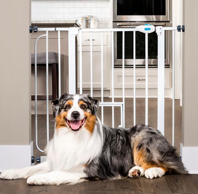 Photo 1 of 
Carlson Extra Wide Walk Through Pet Gate with Small Pet Door, Includes 4-Inch Extension Kit, Pressure Mount Kit and Wall Mount Kit,White