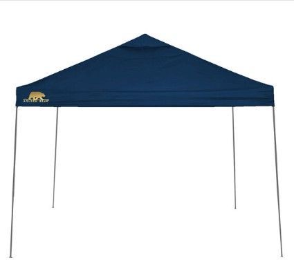 Photo 1 of (READ FULL POST) Golden Bear Coronado 10'x10' Straight-Leg Canopy
