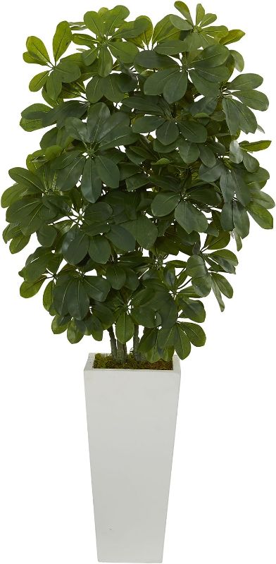 Photo 1 of **REVIEW PHOTOS SIMILAR TO STOCK PHOTO** Nearly Natural Artificial 40â€ Schefflera Plant in White Vase (Real Touch), Green,12"Dx12"Wx40"H
