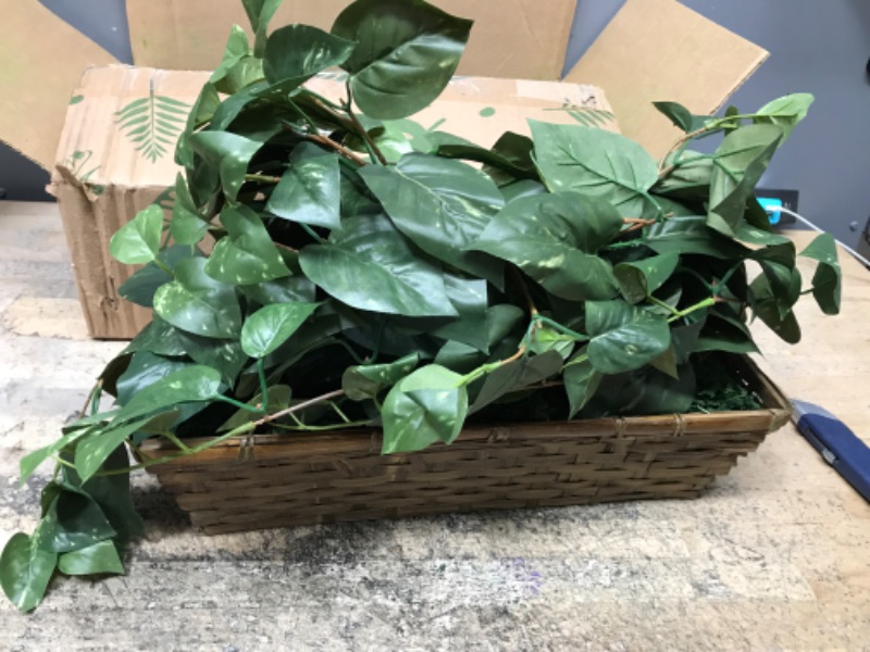 Photo 2 of 15 in. Artificial Pothos with Ledge Basket