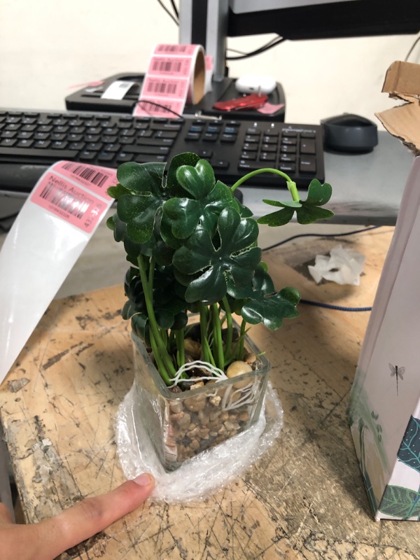 Photo 2 of Acapeting Small Fake Plants Ultra Lifelike Artificial Simulation Potted with Glass Pots for Office Desk Home Bathroom Table Winodws Decoration Siyecao