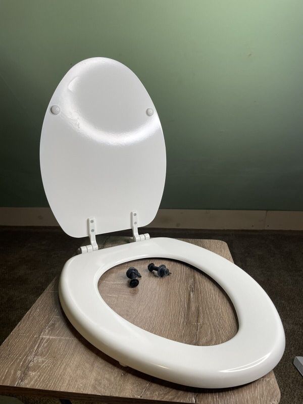 Photo 1 of (USED) Bemis Lowe's White Elongated Toilet Seat - 1694157 - 19" 
