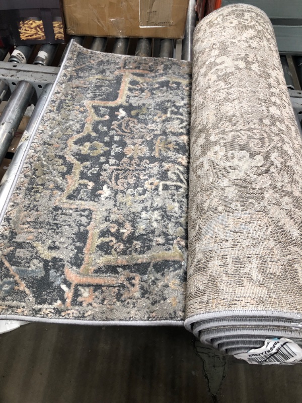 Photo 1 of 2'8"x 10" Loloi Lucia Area Rug 