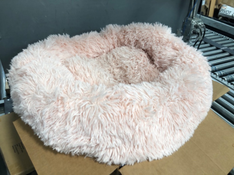 Photo 1 of pink dog bed small