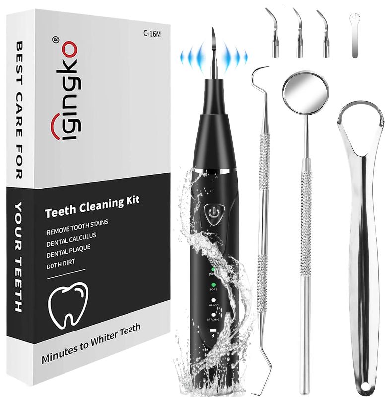 Photo 1 of Plaque Remover for Teeth, igingko Electric Teeth Cleaning Kit, Tooth Cleaner Tartar Remover for Teeth with 4 Replaceable Heads & Oral Mirror & Dental Probe & Tongue Scraper, Safe for Adult Kids Dogs
