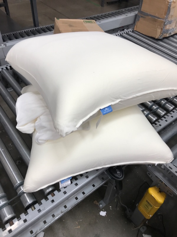 Photo 2 of 
AM AEROMAX 22 ×22 Pillow Insert (Pack of 2) Memory Foam Throw Pillow Insert Sham Square for Decorative Cushion Bed Couch Sofa Without Deform After Longtime Use
Team Name:Pack of 2
Size:22" x 22"