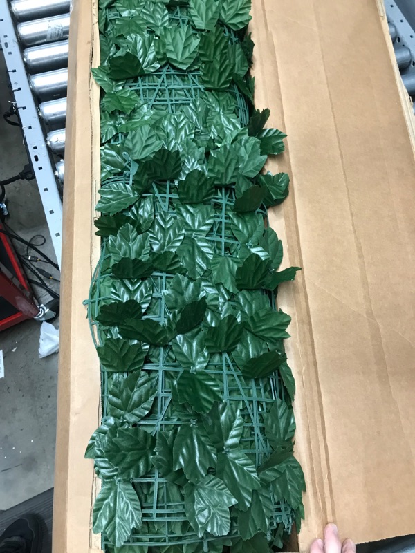 Photo 2 of 
Item is Dark Green***RUIXFLR Artificial Leaf Privacy Fence Roll, Garden Hedge Wall Landscaping, UV Fade Protection, Light Green Grape Leaves, 1