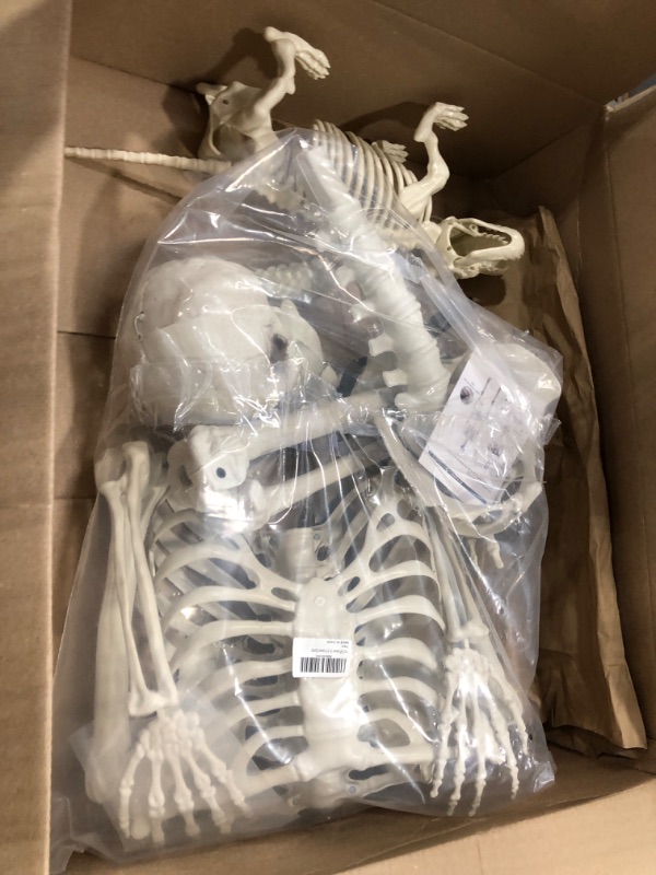 Photo 2 of 5.4Ft Halloween Life Size Human Skeletons with Dog Skeleton,Poseable Life Size Skeletons Plastic Human Bones with Movable Joints for Halloween Decoration Halloween Human Skeletons Dog skeleton