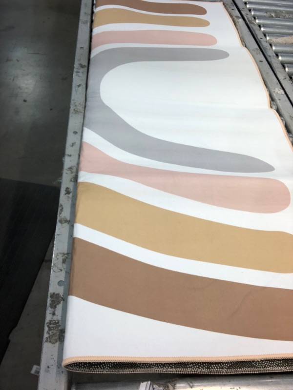 Photo 1 of 25x56 mat