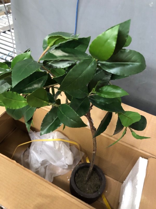 Photo 1 of 
Melli Welli Artificial Rubber Treel Fake Rubber Plant Faux Floor Plants Fake Tree in Pot Ficus Tree for Home Decor Indoor Outdoor Living Room Office...