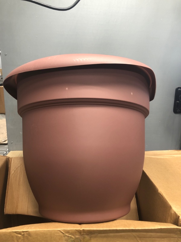 Photo 2 of Bloem Ariana Self Watering Planter: 20" - Merlot - Durable Resin Pot, for Indoor and Outdoor Use, Self Watering Disk Included, Gardening, 11 Gallon Capacity