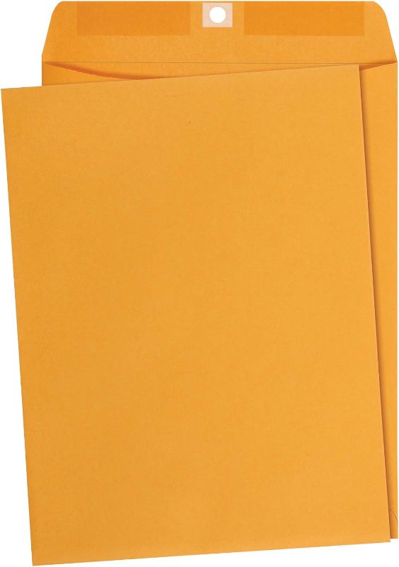 Photo 1 of Amazon Basics 9 x 12-Inch Clasp Kraft Envelopes, Gummed, 45-Pack
