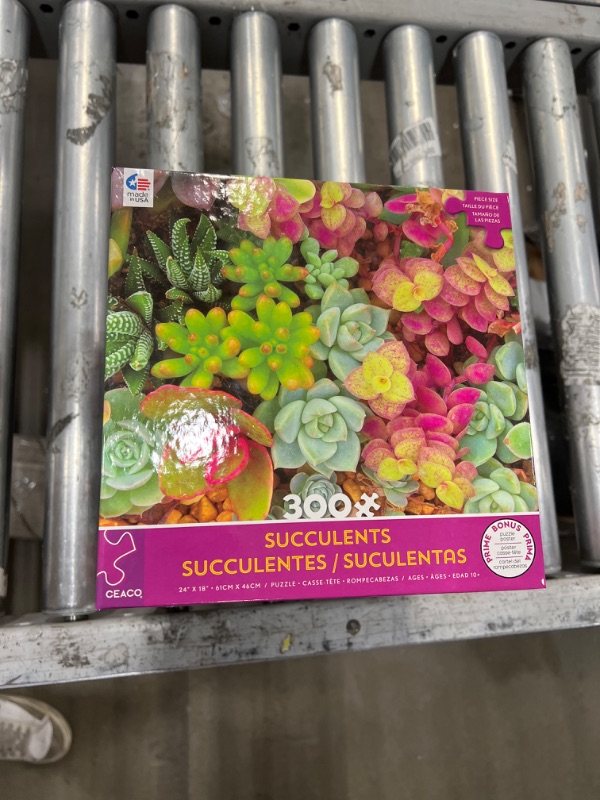 Photo 1 of Ceaco - Succulents - Bright Succulents - Oversized 300 Piece Jigsaw Puzzle
