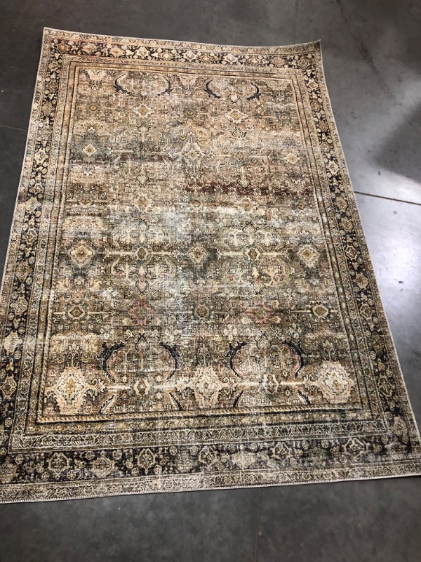 Photo 3 of * MINOR STAINS*
Loloi II Skye Collection SKY-14 Traditional Area Rug 5'-0" x 7'-6" Natural/Sage Rectangular 0.13" Thick