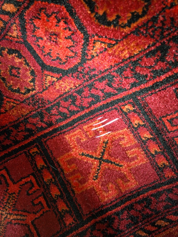 Photo 4 of *MAJOR DAMAGE SEE NOTES*
nuLOOM Billie Traditional Paneled Fringe Red 5 ft. x 7 ft. Area Rug