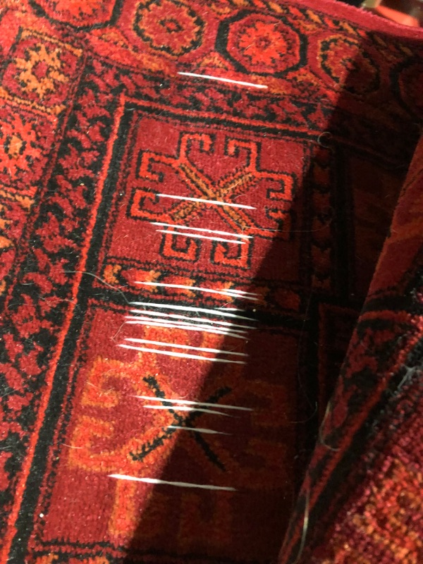 Photo 5 of *MAJOR DAMAGE SEE NOTES*
nuLOOM Billie Traditional Paneled Fringe Red 5 ft. x 7 ft. Area Rug