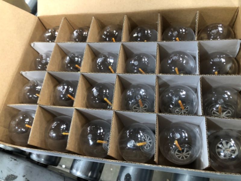 Photo 1 of 24-Light Indoor/Outdoor 48 ft. String Light with S14 Single Filament LED Bulbs