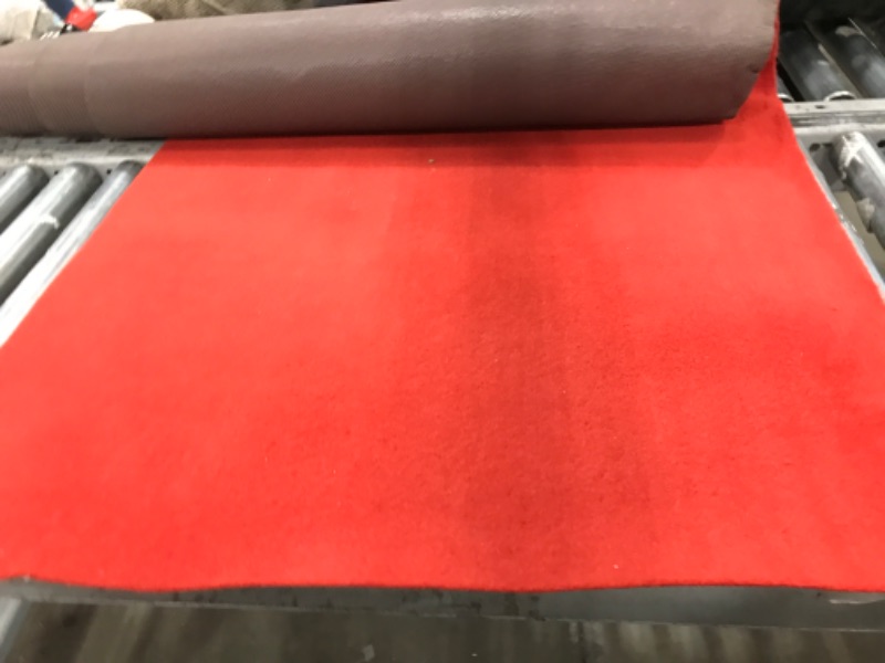 Photo 1 of 2'8" x 10' red runner rug 