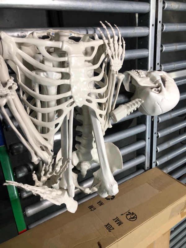 Photo 1 of IDMOP 5.4Ft Halloween Skeleton - Life Size Skeleton Full Body Realistic Human Bones with Posable Joints for Halloween Pose Skeleton Prop Decoration
