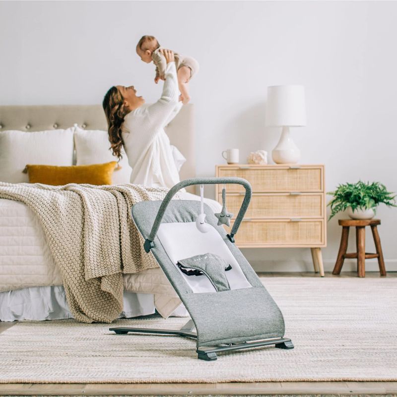 Photo 1 of Baby Delight Alpine Deluxe Portable Bouncer | Infant | 0 – 6 months | Charcoal Tweed