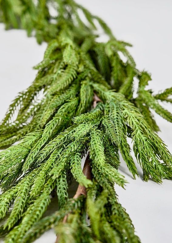 Photo 1 of Afloral Real Touch Norfolk Pine Garland 