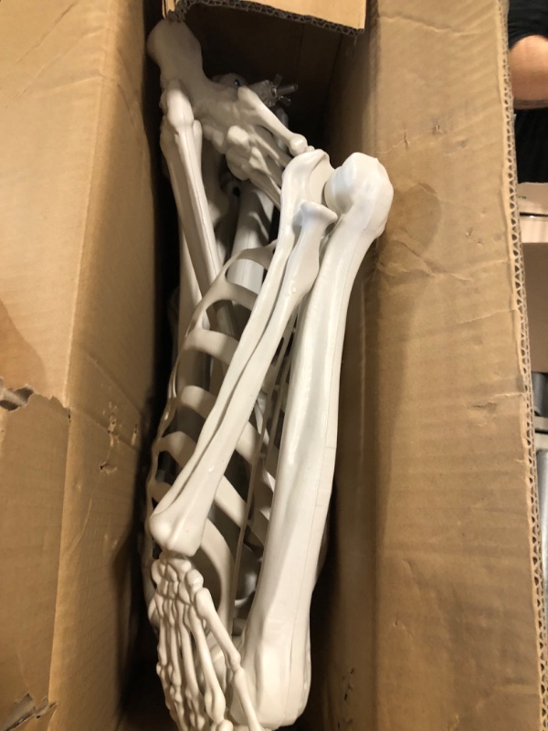 Photo 3 of  Skeleton Model, Life Size - Flexible Joints & Spine, Rod Mounted
