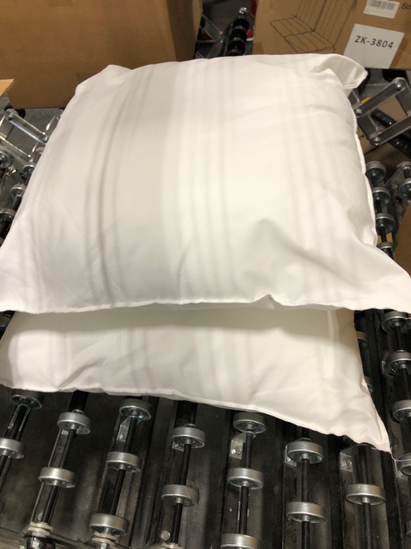 Photo 1 of 2 Medium Pillows 