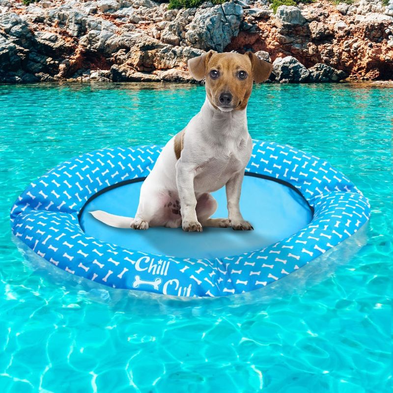 Photo 1 of ALL FOR PAWS Dog Float for Pool no Need to inflate Pool Float for Dogs Dog Float Raft Dog Swimming Float Non Inflatable Stay Dry Float for Small and Medium Dogs