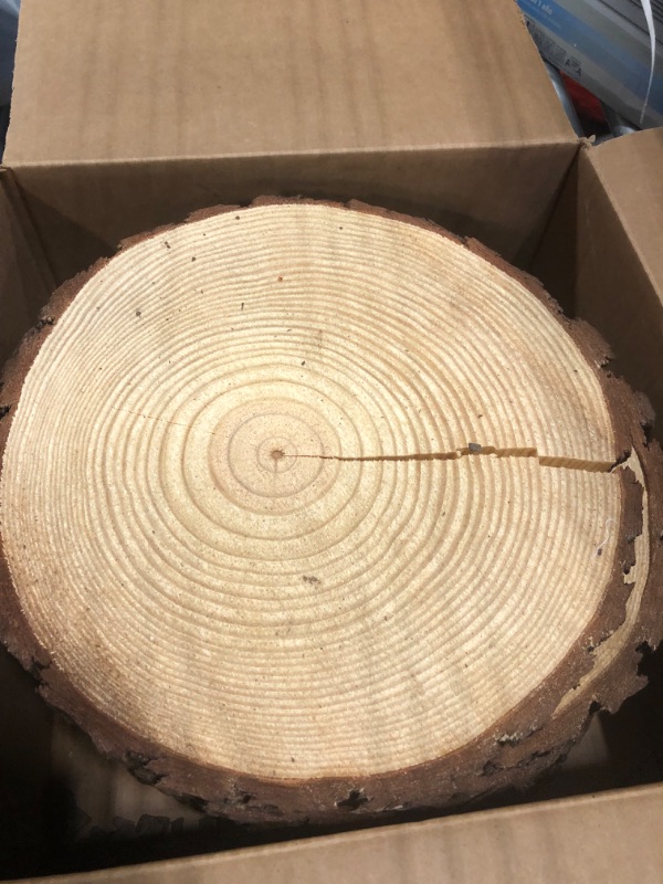 Photo 4 of Set of (10) 13-13.9 inch Large Wood Slices for Centerpieces! Wood Slice centerpieces, Wood Slice Plate Chargers, Large Wedding centerpieces! (13 inch)