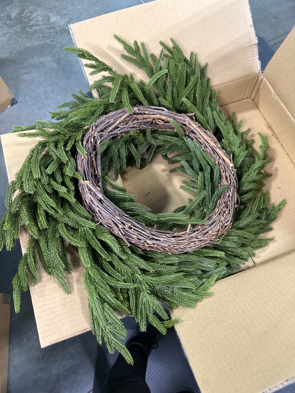 Photo 1 of Afloral Real Touch Norfolk Pine Wreath - 24"