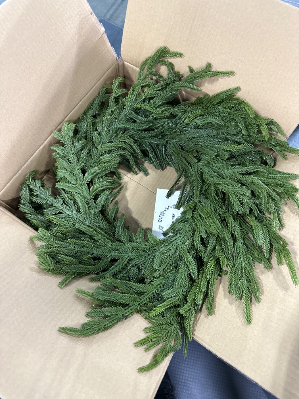 Photo 3 of Afloral Real Touch Norfolk Pine Wreath - 24"