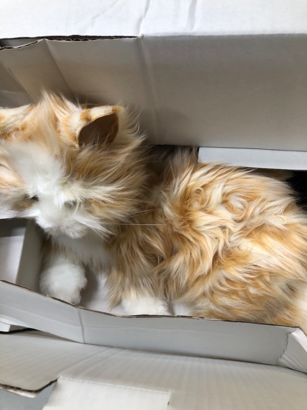 Photo 1 of JOY FOR ALL - Orange Tabby Cat - Interactive Companion Pets - Realistic & Lifelike