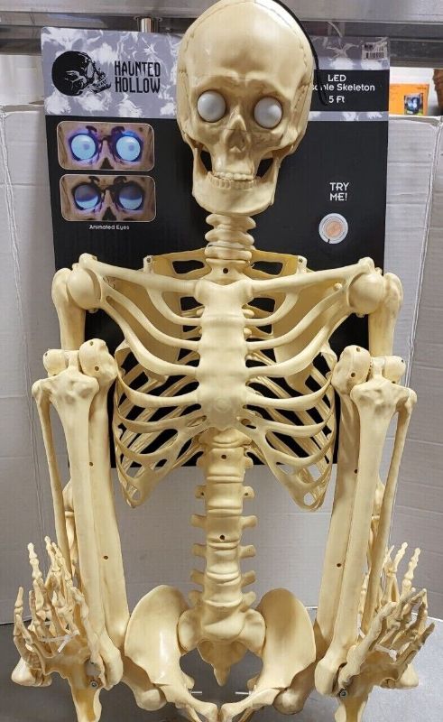 Photo 1 of 5' Plastic Posable Skeleton Decoration Prop w Life Like LED Animated Eyes New 
similar
