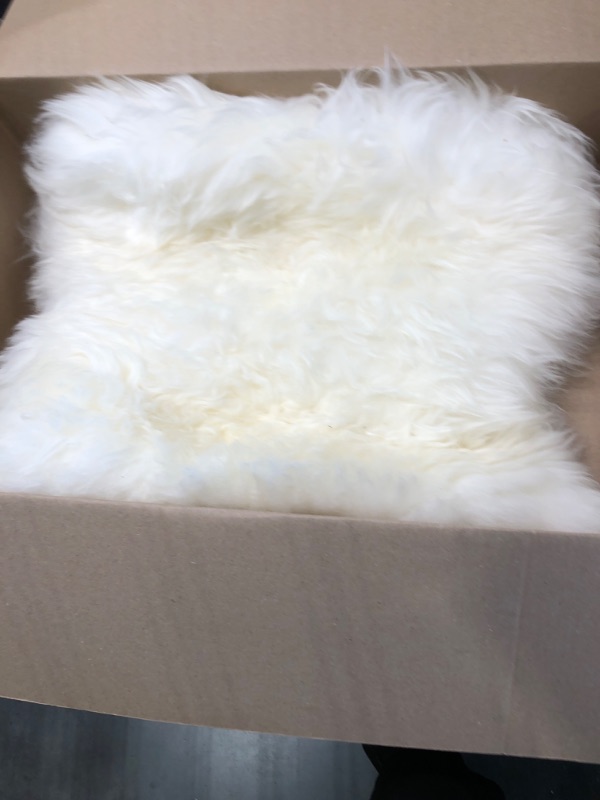 Photo 1 of AREA FUR RUG