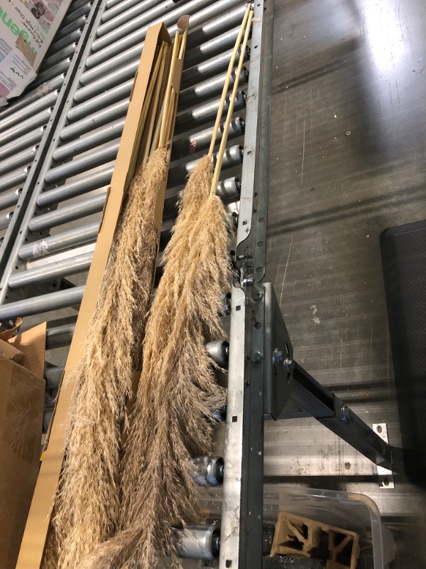 Photo 1 of 40" inch 10 Stems Natural Pampas Grass Decor Tall, pompas Grass, Tall Pampas Grass for Wedding, Party, Farmhouse, Boho Home Decor 40inch tall pampas grass-A