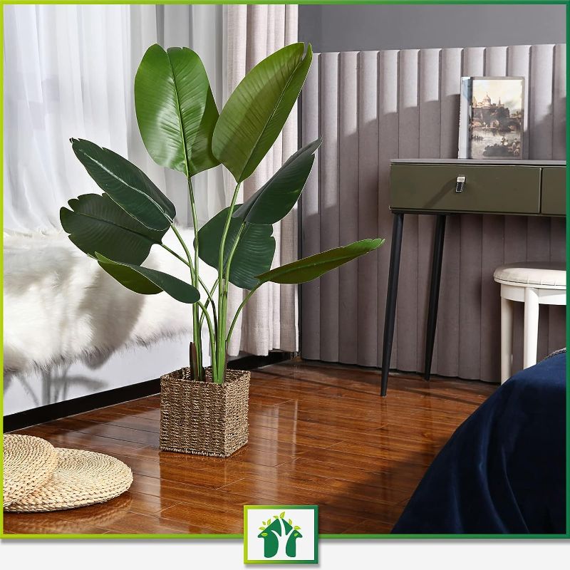 Photo 1 of  Tropical tree in Pot for Indoor Outdoor House Home Office Garden Modern Decoration Housewarming Gift 