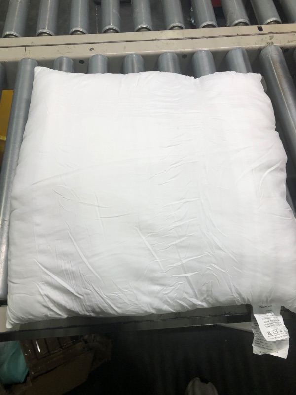 Photo 2 of 16 Inch Pillow Insert