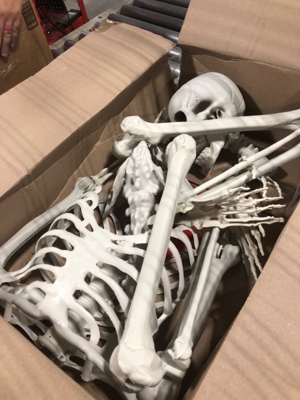 Photo 1 of IDMOP 5.4Ft Halloween Skeleton - Life Size Skeleton Full Body Realistic Human Bones with Posable Joints for Halloween Pose Skeleton Prop Decoration