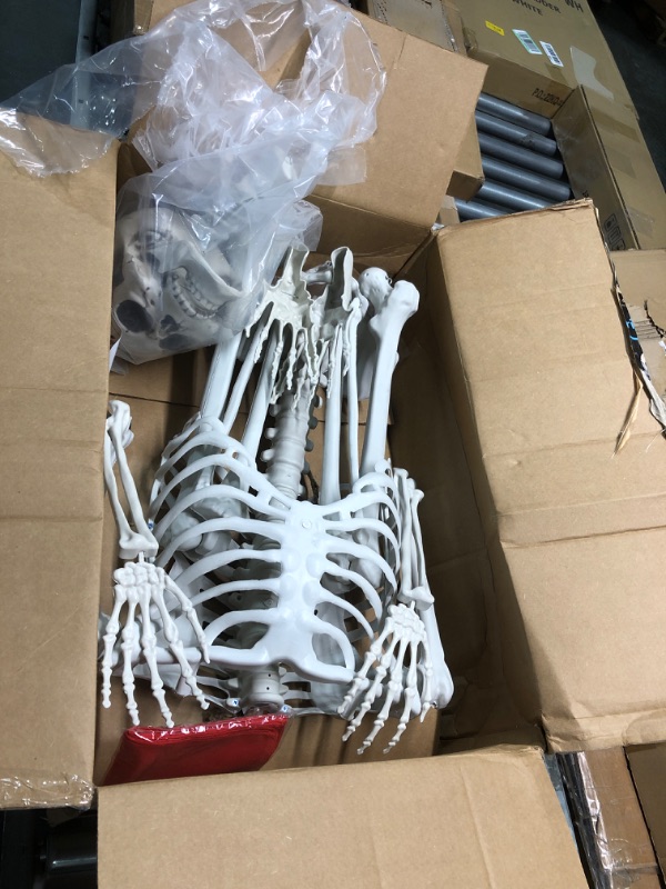 Photo 2 of 5.4ft/165cm Halloween Skeleton, Posable Life Size Human Skeletons, Full Body Realistic Bones with Movable Joints for Halloween Spooky Party Decoration, Yard Lawn Outdoor Haunted House Props Decor