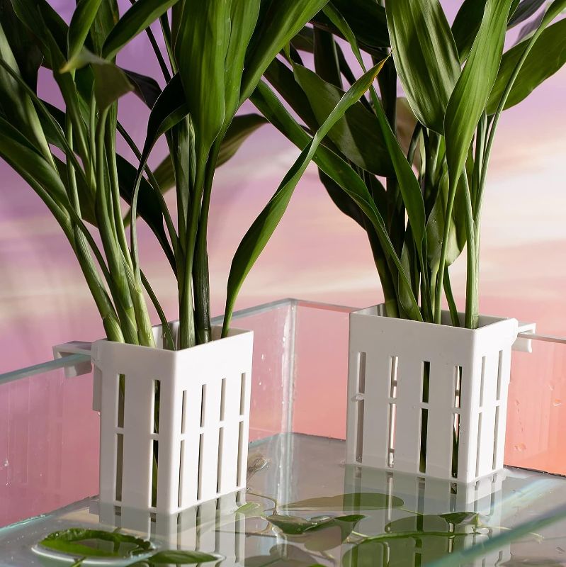 Photo 1 of 
Dpucle 2Pcs Aquarium Plant Holder,Plastic Plant Cups for Aquarium,Hanging Aquatic Plant Pot for Fish Tank Plants Cultivation and Aquascape Decorations(White)